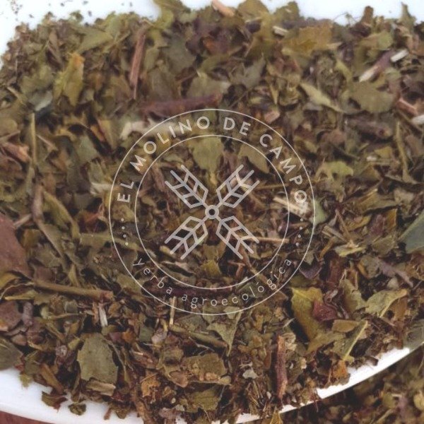 Té verde agroecológico El Molino de Campo